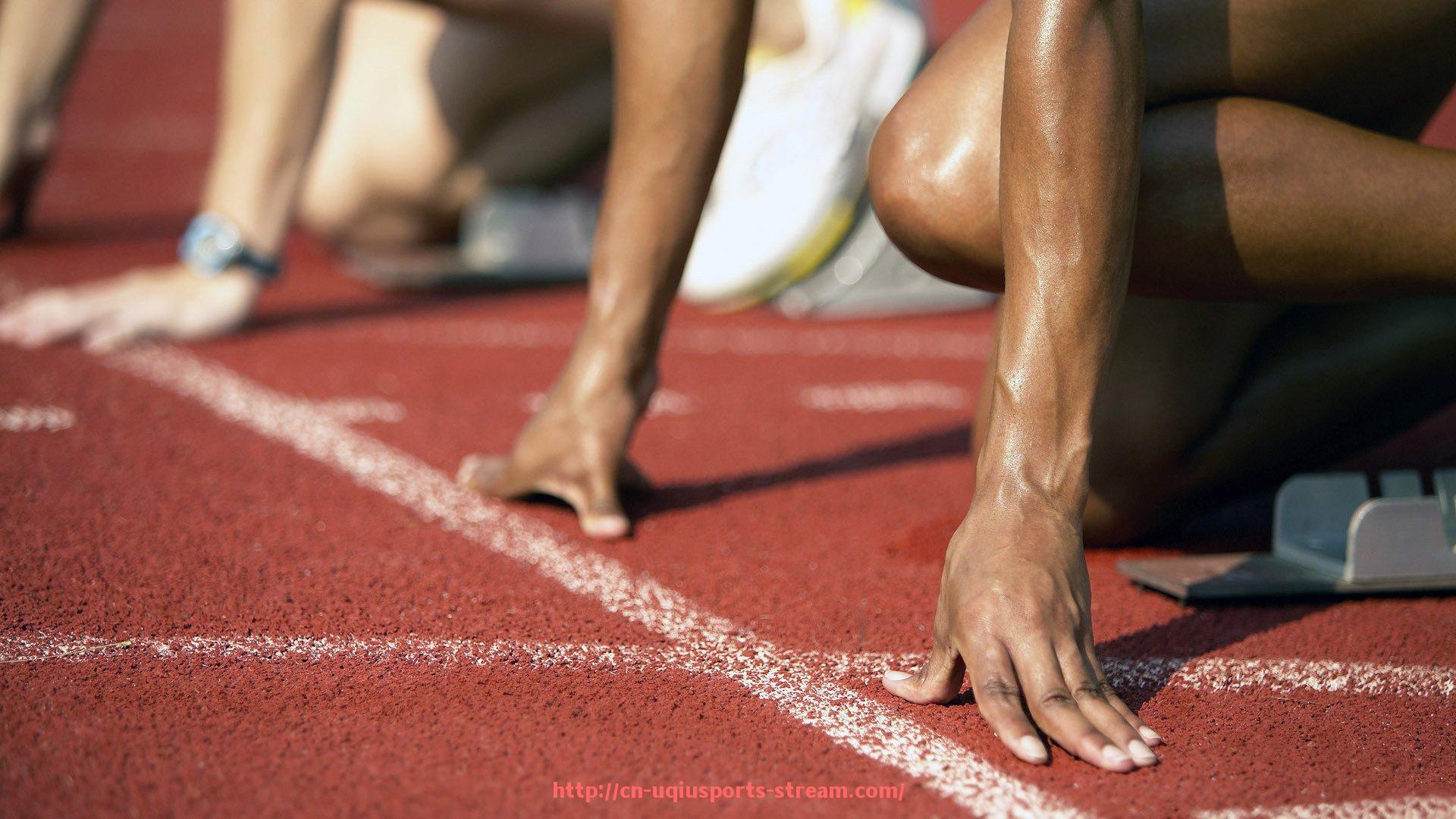 U球体育直播-世俱杯球队装备维护标准及保养指南详解